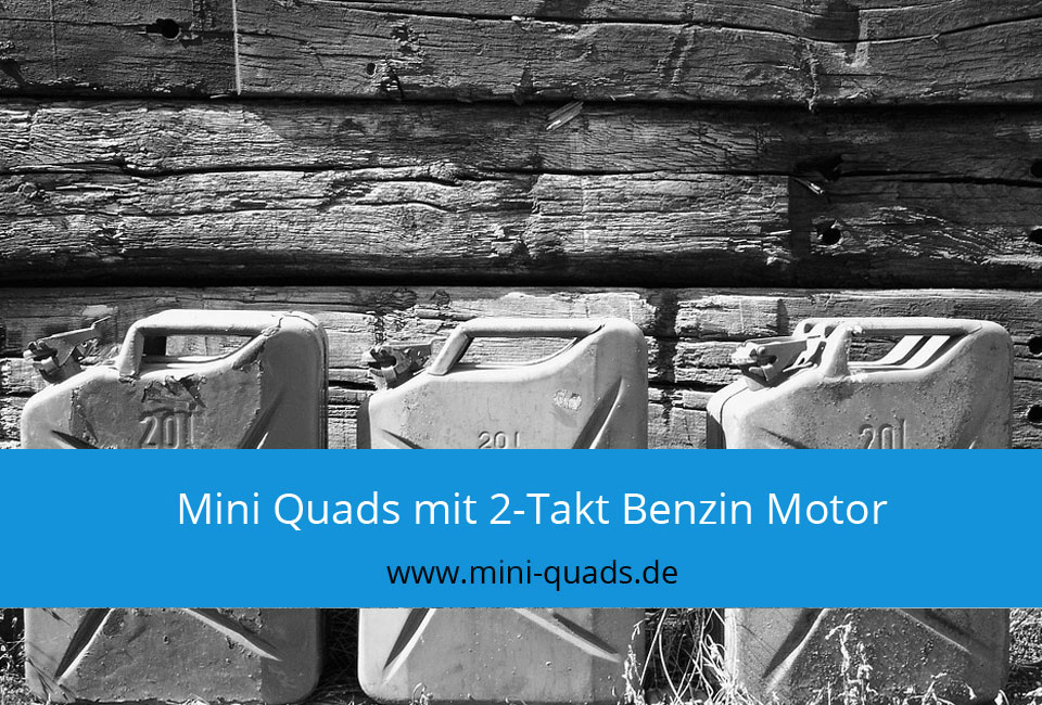 Mini Quads mit 2-Takt Benzin Motor