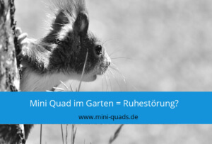 Mini Quad Ruhestörung im Garten