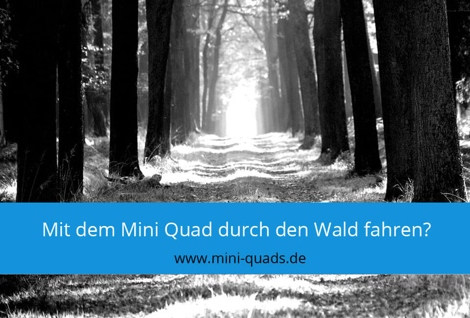 Mit dem Mini Quad durch den Wald fahren